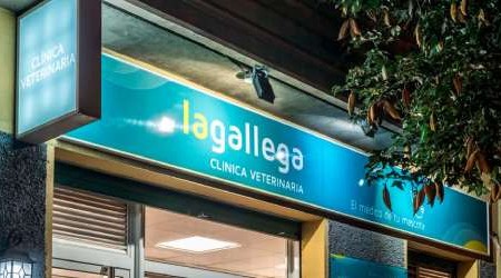 Clinica Veterinaria La Gallega